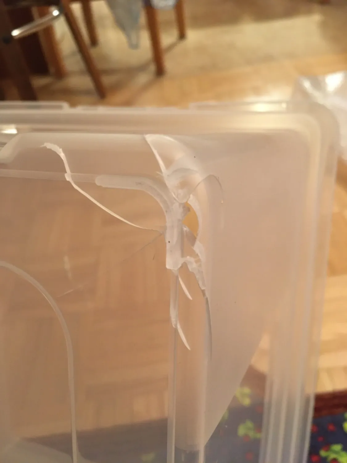 Iris Ohyama FBN-35 Archivbox 25L Transparent 4er