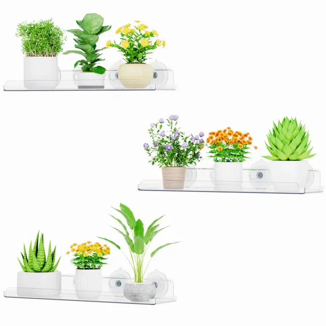 Lifewit Fenster Pflanzenregal Saugnapf Acryl 3er Pack 15 Zoll