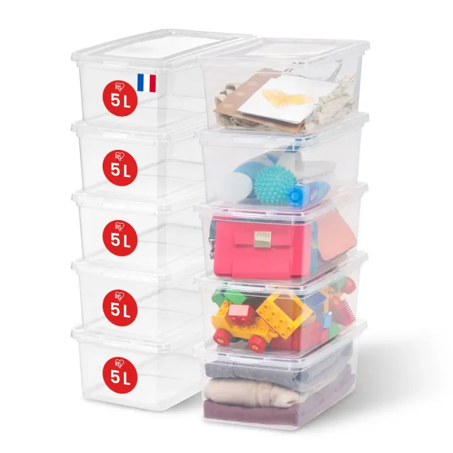 Iris Ohyama Aufbewahrungsbox 5L 10er-Set Transparent Deckel