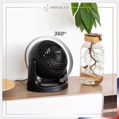 Iris Ohyama Woozoo PCF-HE18 Tischventilator schwarz 3 Stufen