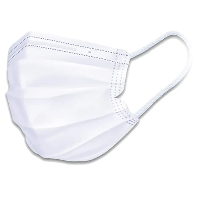 Iris Ohyama EU Mask PN-W-L Einwegmaske Typ II 100 St weiß