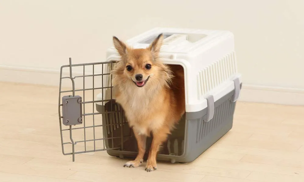 Iris Ohyama ATC-670 Transportbox Hund Katze grau 2-Türen