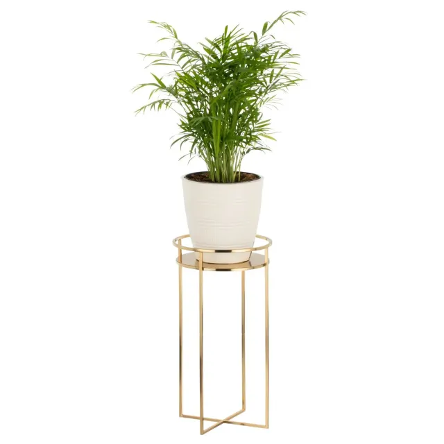 M Design Pflanzenständer Blumenständer Messing 38cm