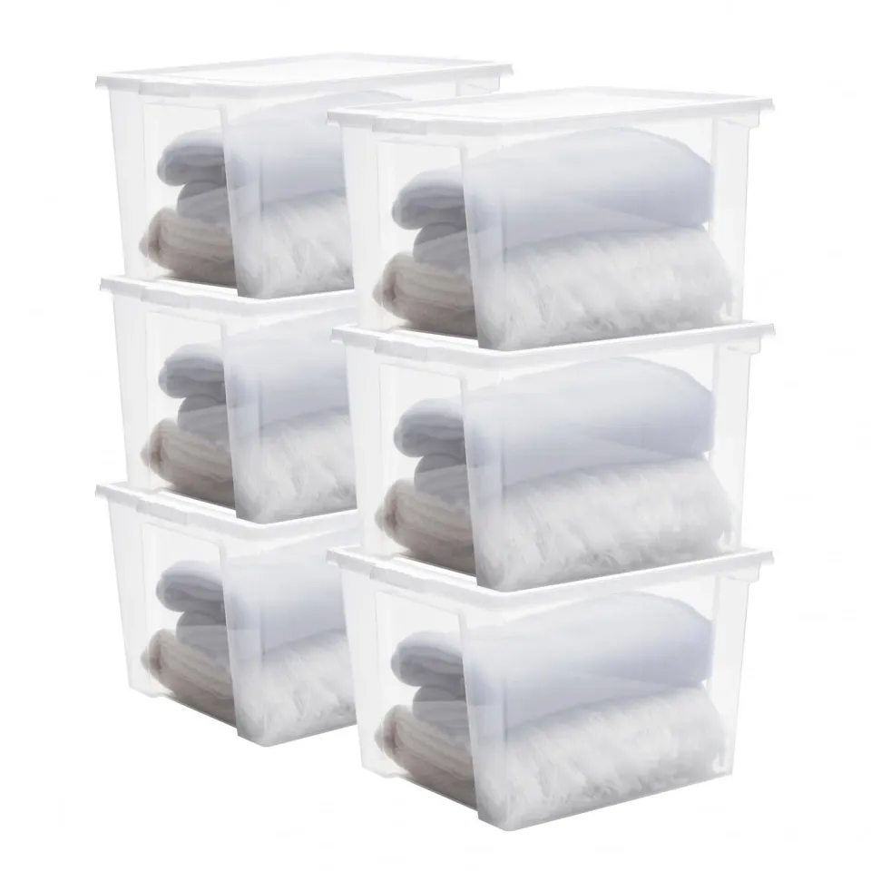Iris Ohyama DDUSB-M Box 30 L 6er-Set transparent