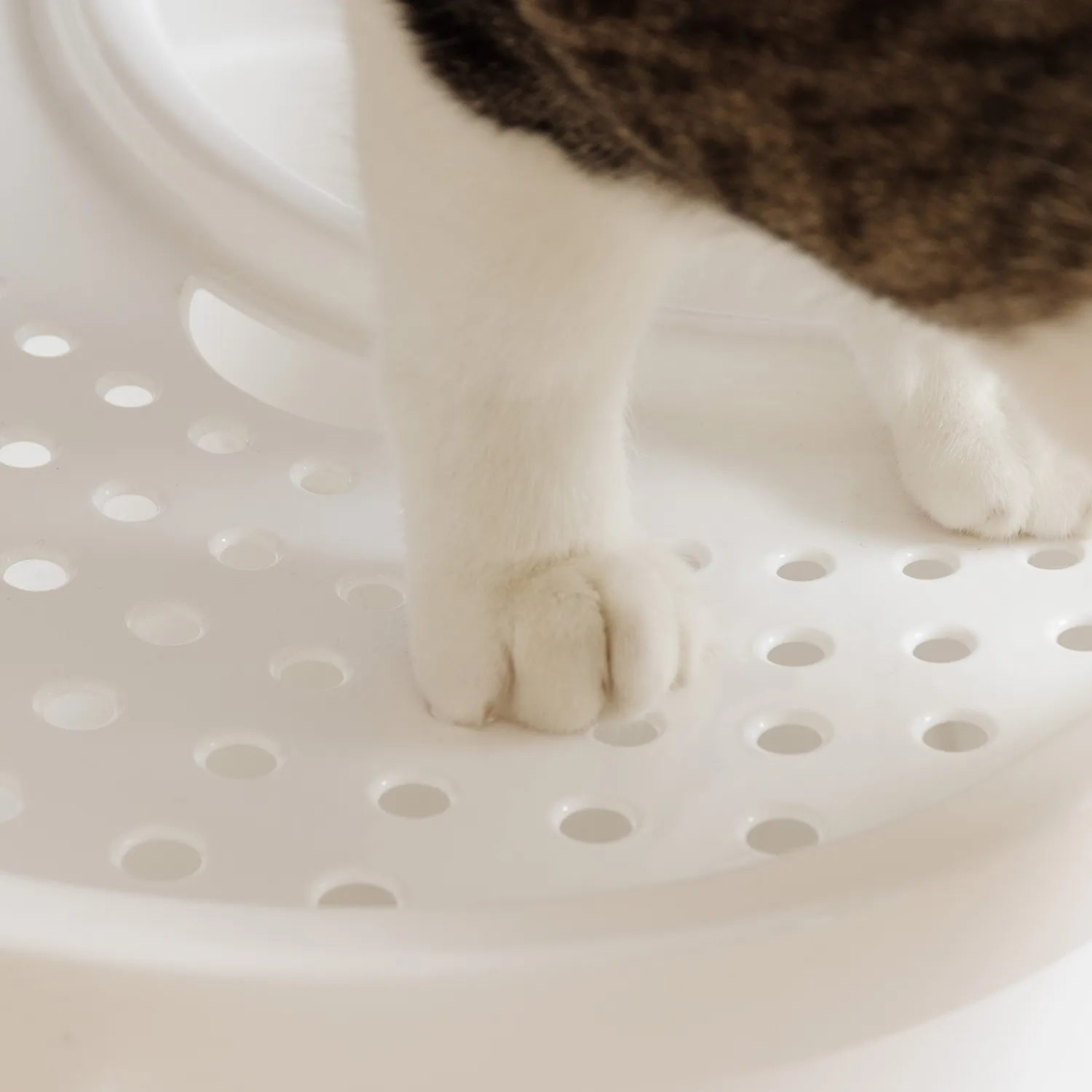 Iris Ohyama TECL-20 Katzenklo Weiß Top-Einstieg mit Deckel