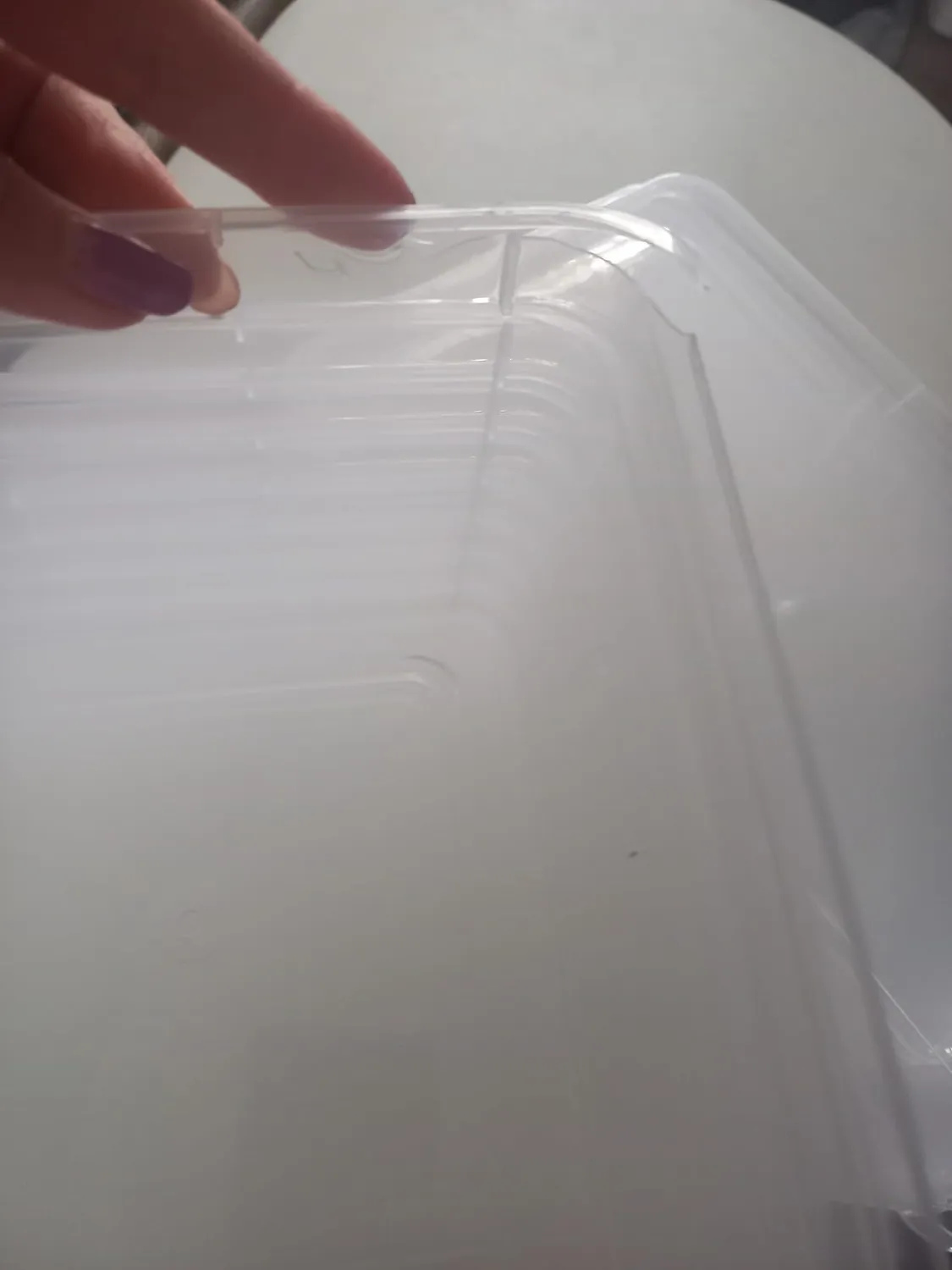 Iris Ohyama Aufbewahrungsbox 5L 10er-Set Transparent Deckel