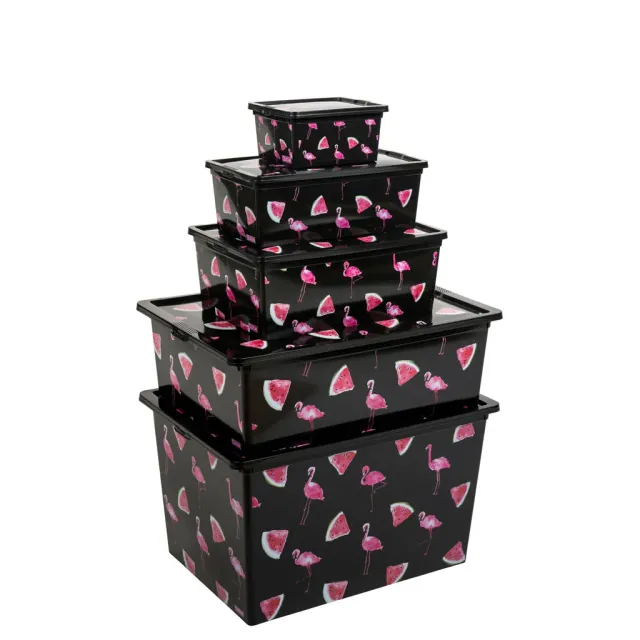 Kreher Boxen-Set Flamingo 5tlg. XS-XL mit Deckel Rollen