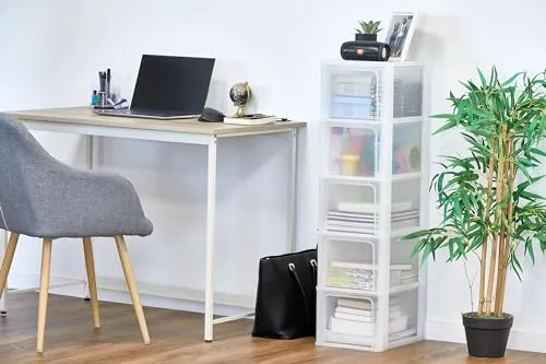 Iris Ohyama Organizer Chest OCH-2500 Schubladenbox weiß 5x13L A4