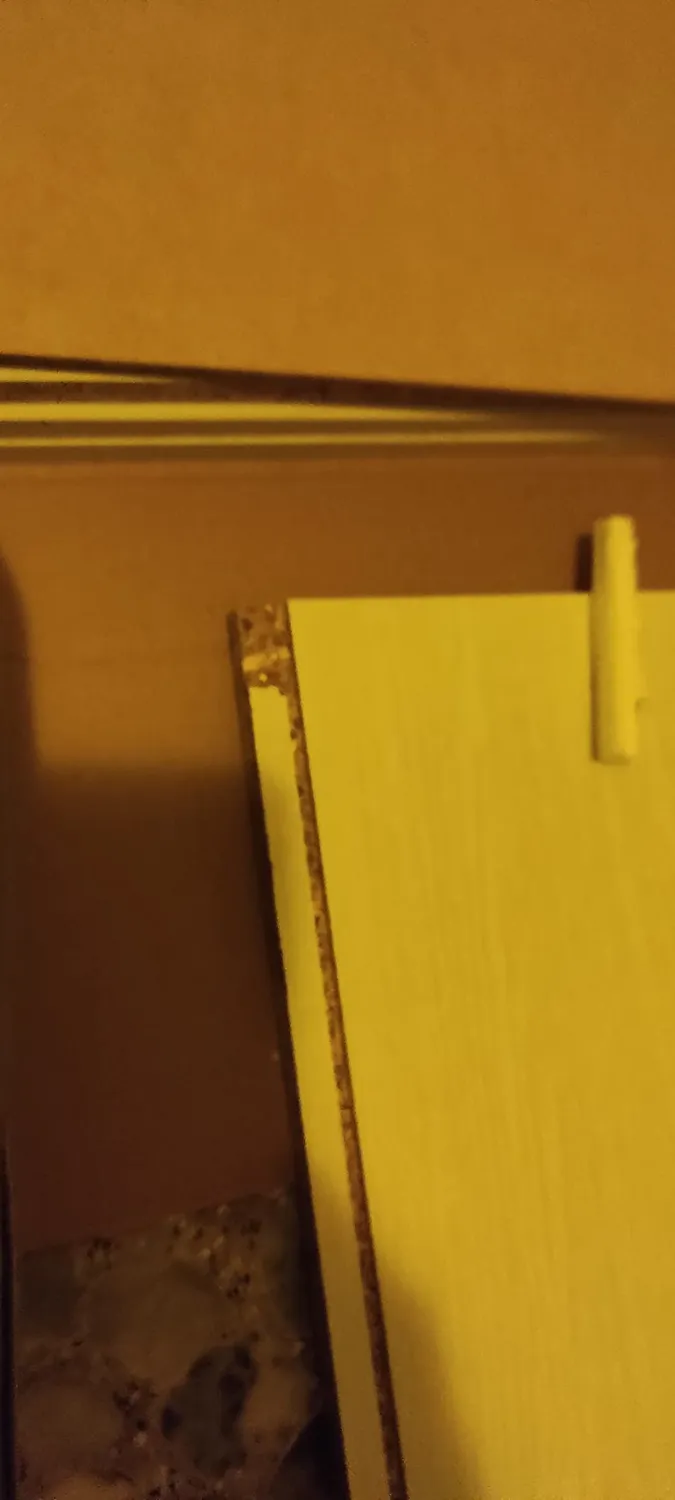 Iris Ohyama CX-4 Bücherregal weiß 4 Etagen 40cm Holz